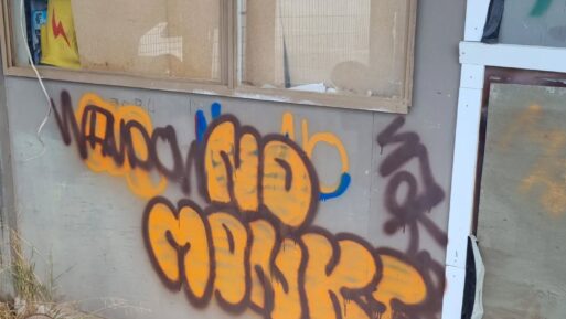 Graffiti: From Street Walls to Family Walls